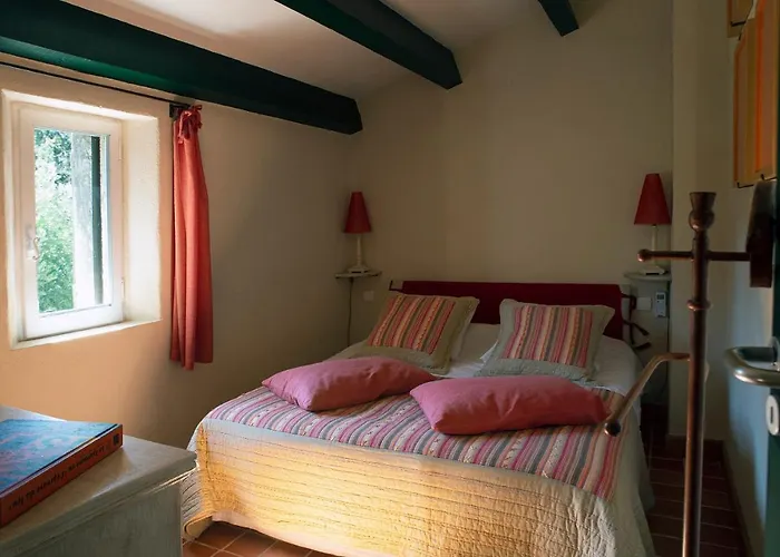 Le Clos Des Amandiers